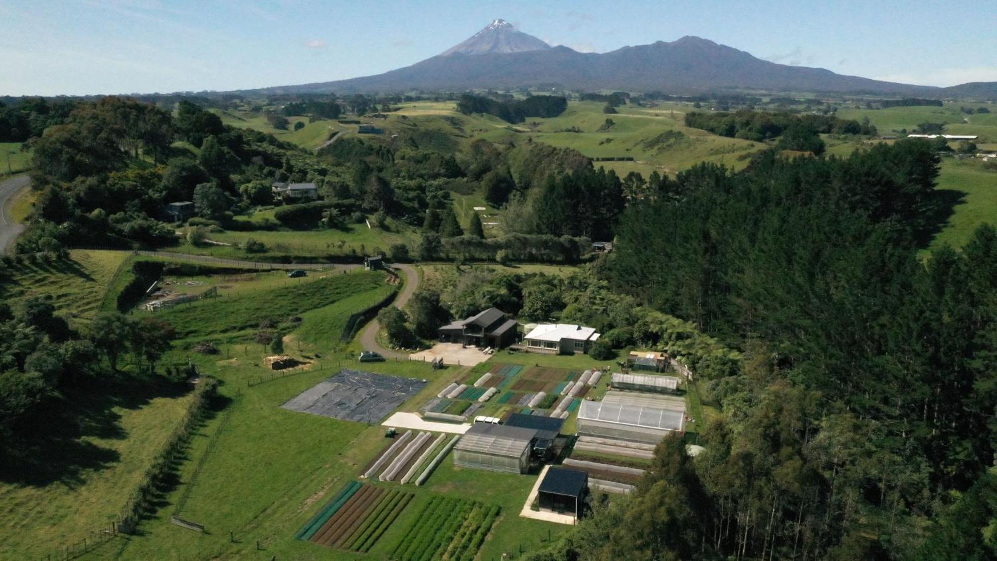Roebuck Farm Stay New Plymouth Eksteriør billede