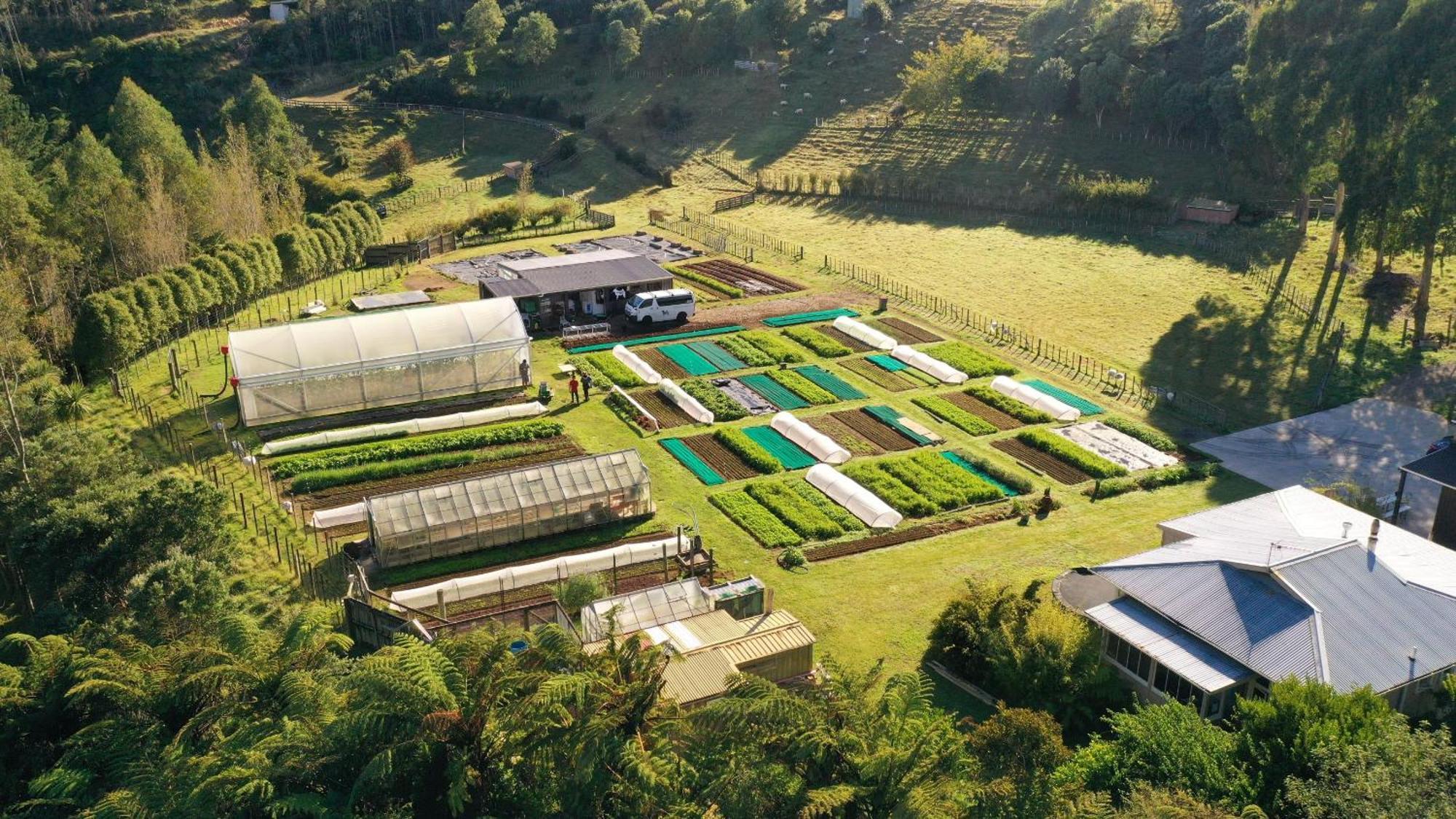 Roebuck Farm Stay New Plymouth Eksteriør billede